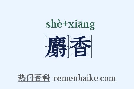 麝香是什么意思的图片